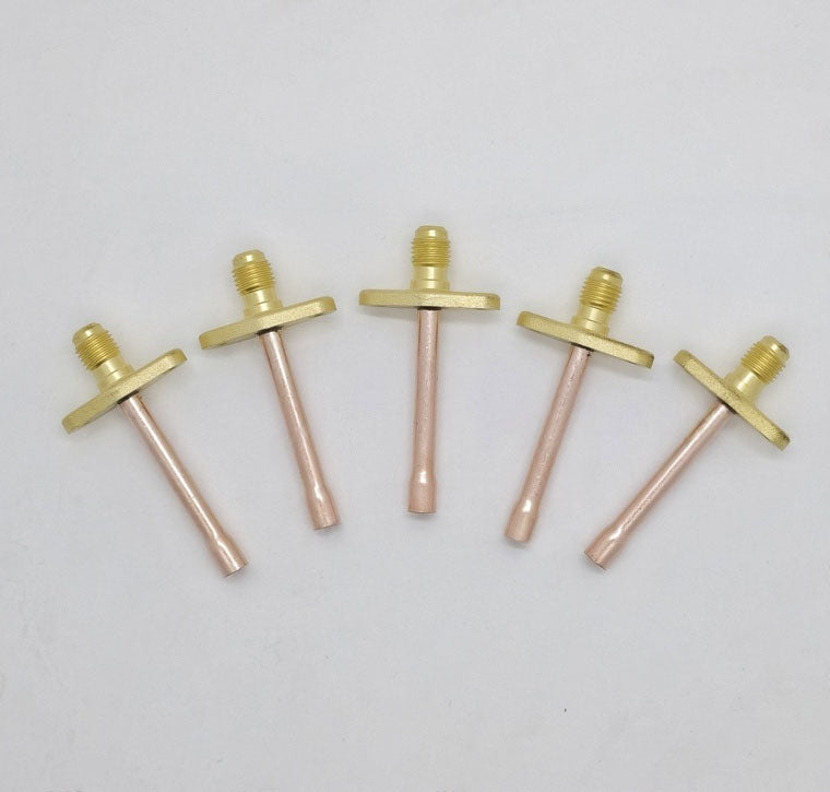 Fixed Ear One-Way Valve Fluorine Nozzle Refrigerator Quick Connector Needle Valve Filling Valve